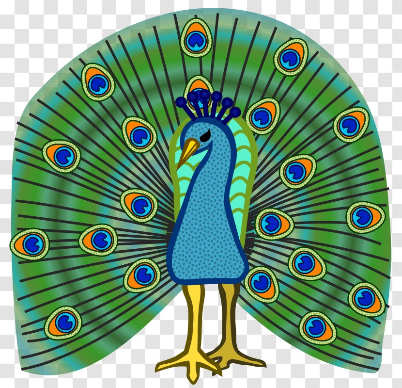 Bird Peafowl Clip Art - Color - Peacock Transparent PNG