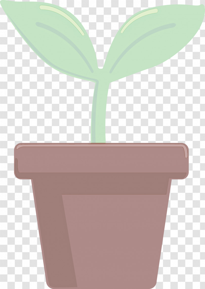 Sprout Bud Seed Transparent PNG