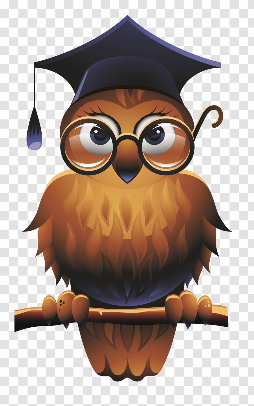 Owl Square Academic Cap School Teacher - Wise Man Transparent PNG