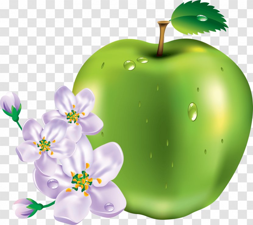 Apple Clip Art - An A Day Keeps The Doctor Away - Green Image Transparent PNG