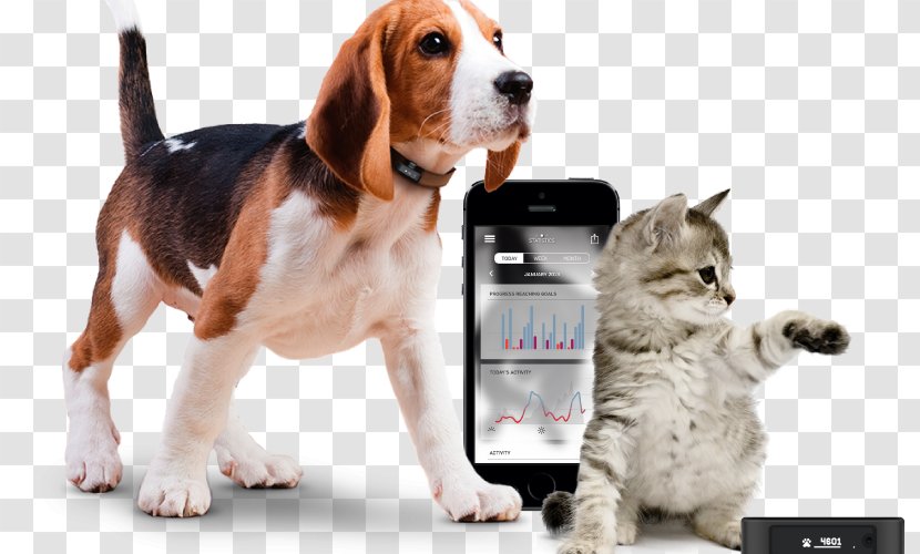 Cat Dog GPS Navigation Systems Tracking Unit System - Whistle Transparent PNG