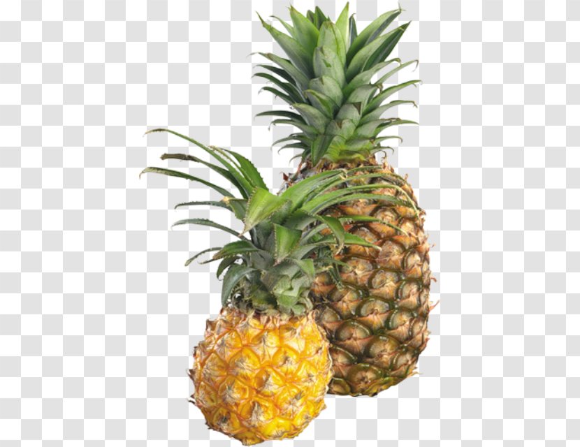 Pineapple Food Fruit Slice Transparent PNG