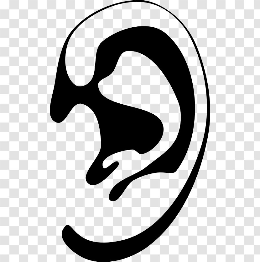 Ear Holland Lop Clip Art - Symbol - 61 Clipart Transparent PNG