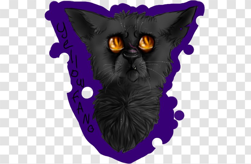 Black Cat Whiskers Domestic Short-haired Illustration - Shorthaired Transparent PNG