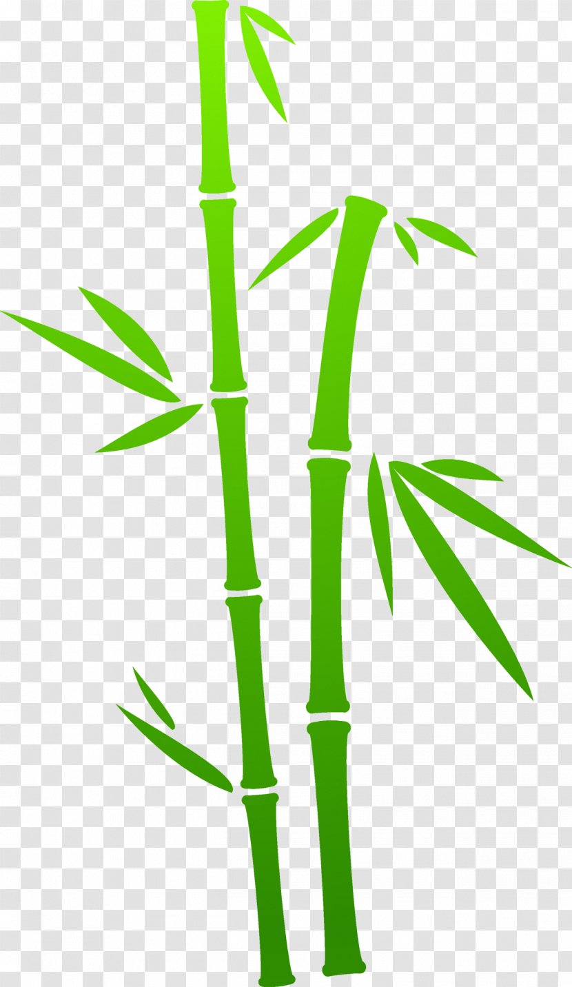 Bamboo Painting Green - Plant Stem Transparent PNG