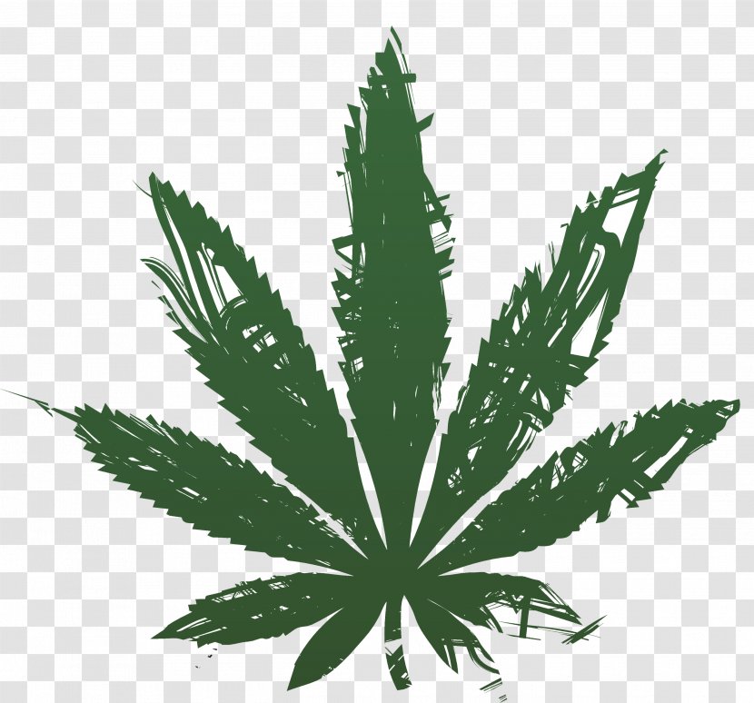 Medical Cannabis Hemp Tetrahydrocannabinol - Leaves Transparent PNG