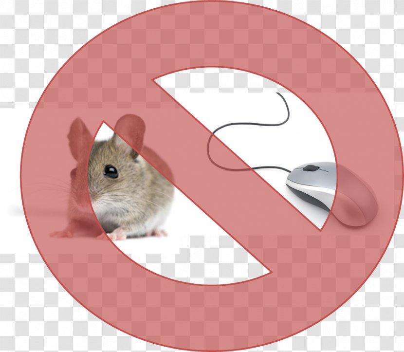 Rodent Rat Fancy Mouse Dormouse Gerbil - Trap Transparent PNG
