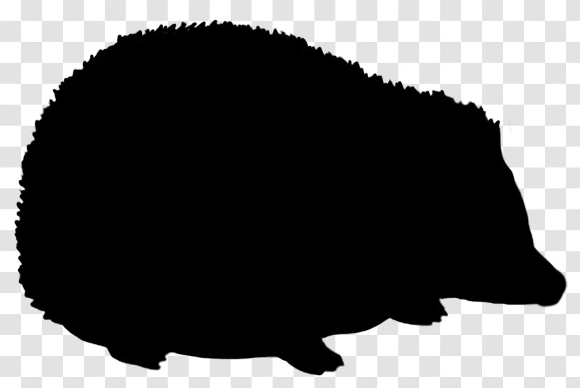 Hedgehog Silhouette Black And White Clip Art - Fauna Transparent PNG