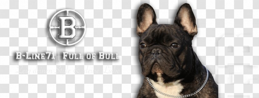 Dog Breed French Bulldog Old English Olde Bulldogge - Collar - T-shirt Transparent PNG