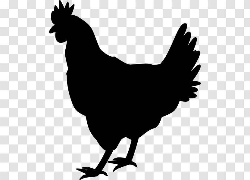 Chicken Cartoon - Tail - Blackandwhite Transparent PNG