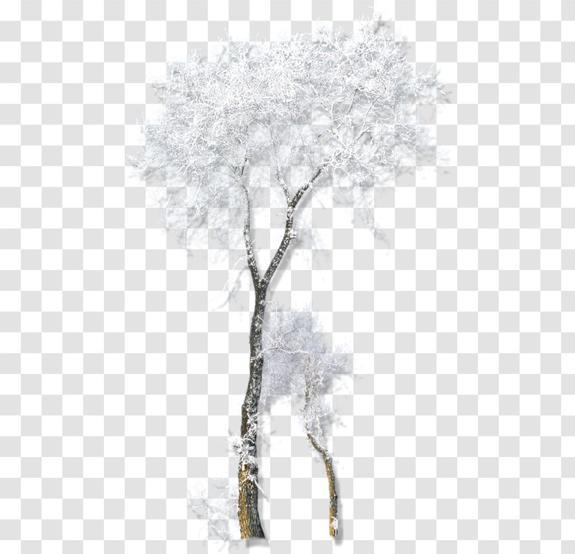 Twig Drawing Winter Belvedere Vodka - Snow - Tree Transparent PNG