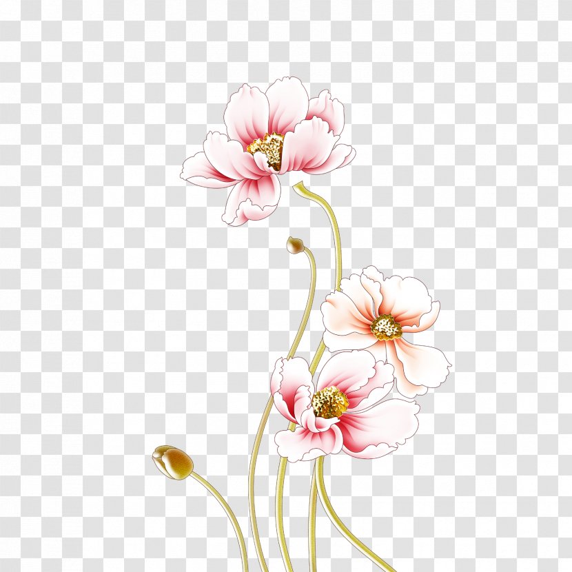 Moutan Peony Wall Flower - Floristry Transparent PNG