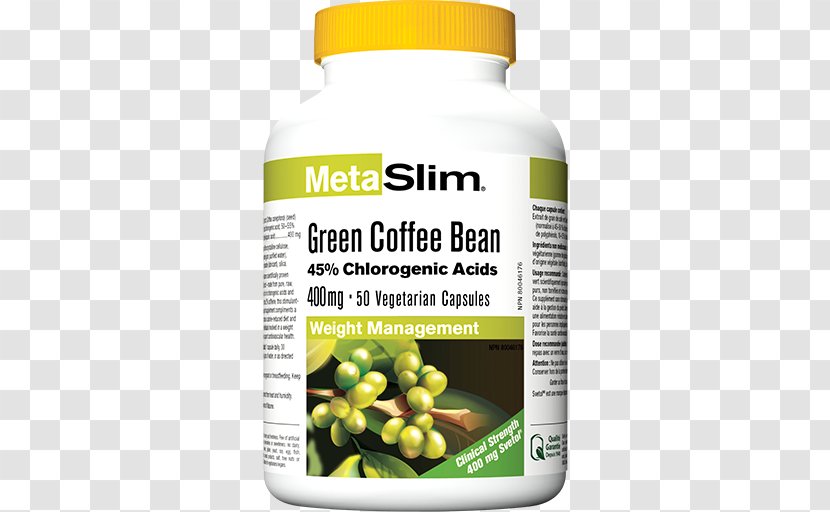 Green Tea Coffee Extract Bean Transparent PNG
