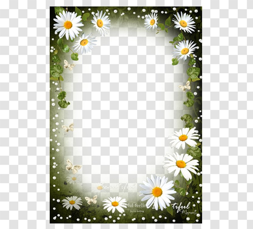 Paper Clip Art - White Dandelion Flower Photo Frame Transparent PNG