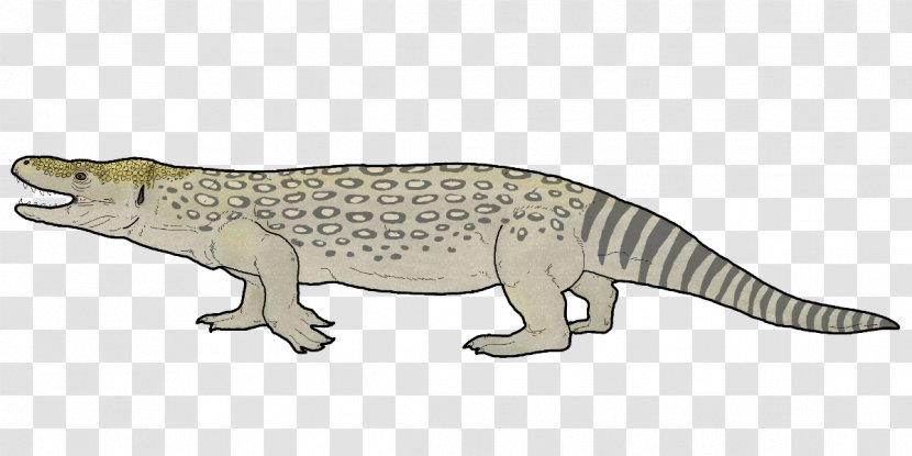 Estesia Monitor Lizard Crocodile Tylosaurus - Animal Figure - Amphibian Transparent PNG