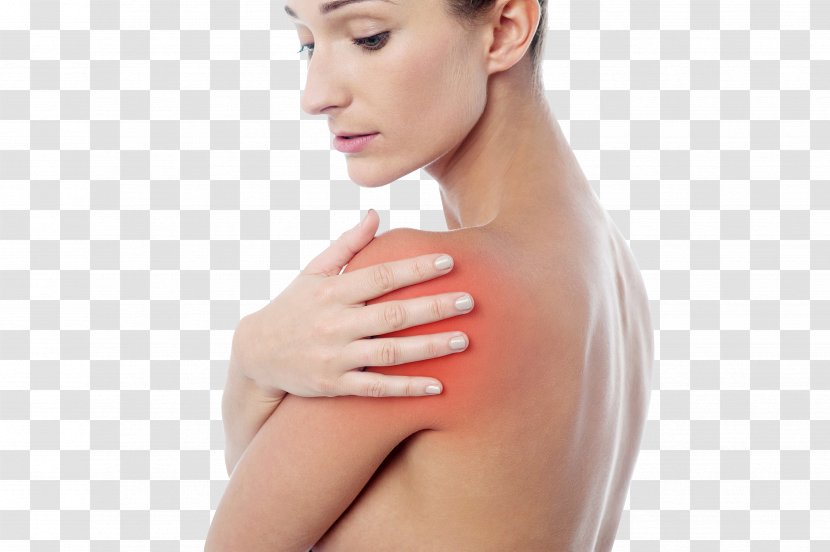 Muscle Pain Joint Physical Therapy In Spine - Tree - Shoulder Transparent PNG
