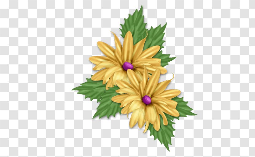 Common Daisy Flower Floral Design Chrysanthemum Clip Art Transparent PNG