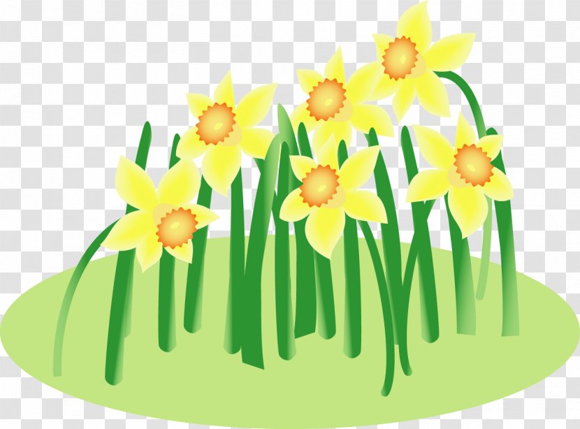 Floral Design Wild Daffodil Cut Flowers Bunch-flowered - Grass - Rakuten Transparent PNG