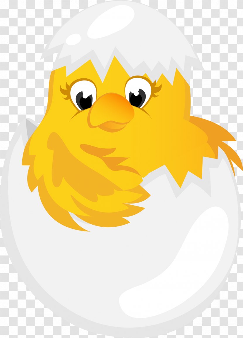 Chicken Easter Bunny Kifaranga Clip Art - Bird Transparent PNG