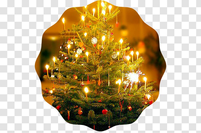 Christmas Tree Decoration Trees For Kids O Tannenbaum - Scott Mccall Transparent PNG