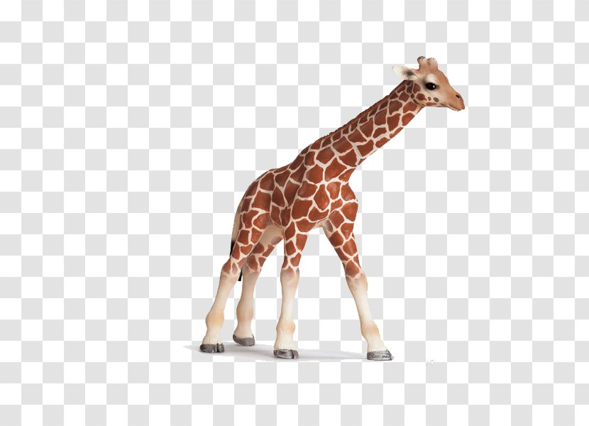 Giraffe Schleich Toy Amazon.com Calf - Neck Transparent PNG