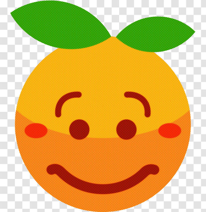 Orange Transparent PNG