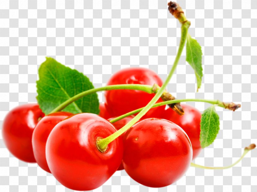 Cerasus Sweet Cherry Sorbet - Lingonberry Transparent PNG