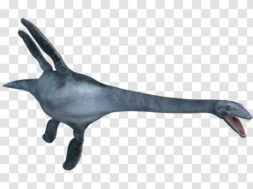 Elasmosaurus Plesiosauria Mosasaurus Tylosaurus Late Cretaceous - Plesiosaurus - Look Transparent PNG
