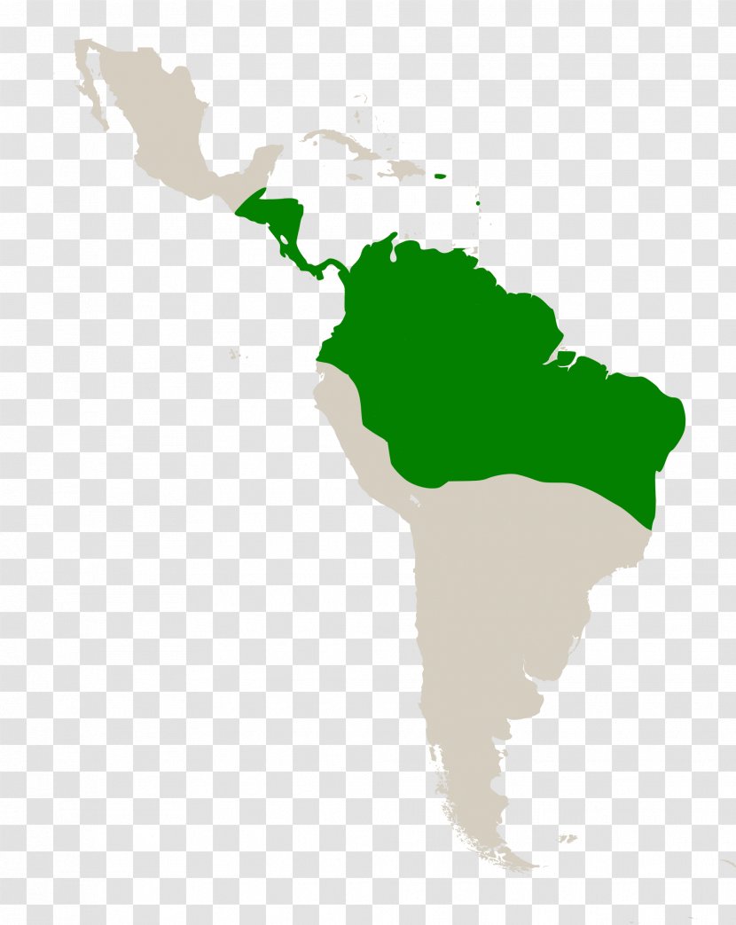 Caribbean South America Latin Middle Geography - Americas - Green Transparent PNG