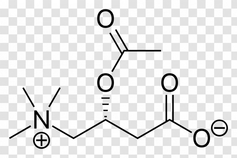Amino Acid 3-Nitrobenzoic 4-Nitrobenzoic 4-Hydroxybenzoic - Acetylcarnitine Transparent PNG