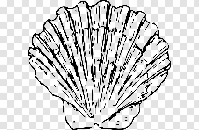 Seashell Clam Blue Clip Art - Shell Outline Transparent PNG