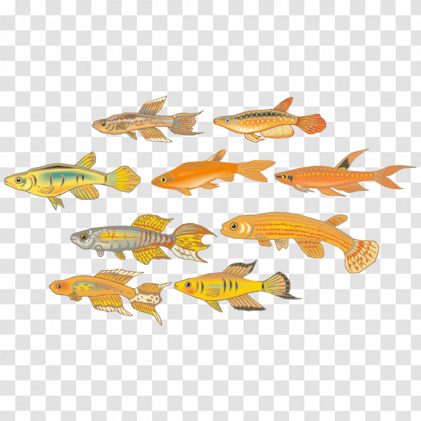 Fish Cartoon Pattern - Fauna Transparent PNG