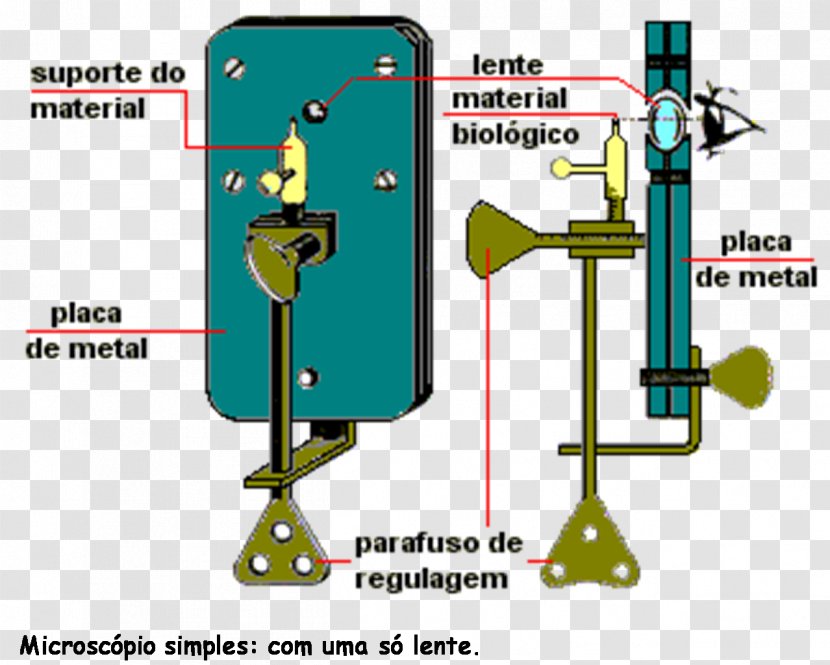 Optical Microscope Microscopio Simple Cell Discovery Transparent PNG