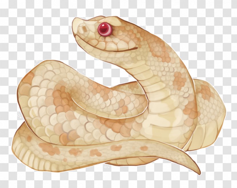 Rattlesnake Boa Constrictor August 17 DeviantArt Vipers - Reptile - Hognose Snake Transparent PNG