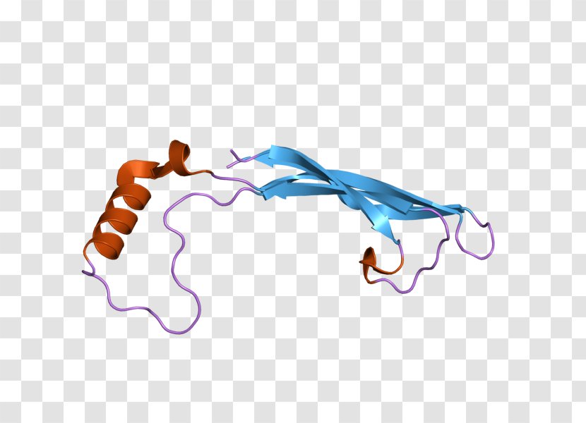 Artemin Protein Arsenic Lanthanum Gene - Gramtrans Transparent PNG
