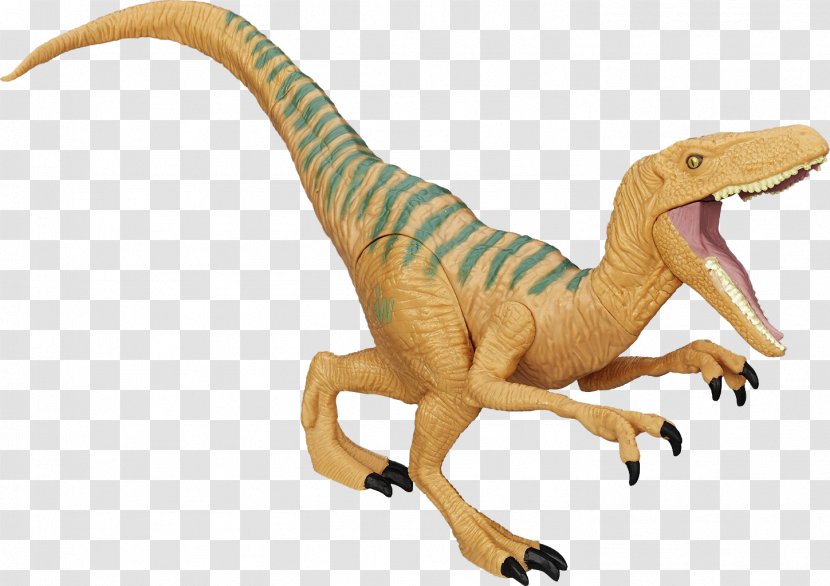 Velociraptor Amazon.com Action & Toy Figures Tyrannosaurus Carnotaurus - Suchomimus - Dinosaur Transparent PNG