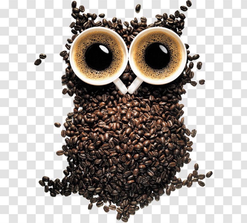 Black-and-white Owl Desktop Wallpaper Barn - Coffee - Coffe Been Transparent PNG
