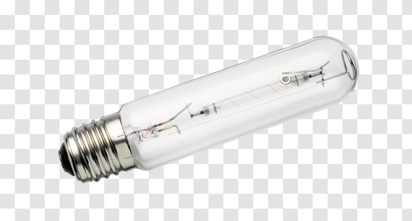 Sodium-vapor Lamp Incandescent Light Bulb Xenon Arc Mercury-vapor Lighting Transparent PNG
