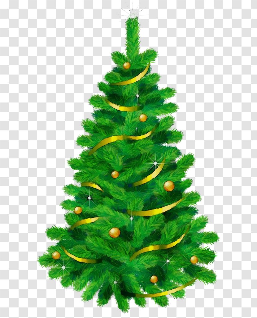 Christmas Tree - Decoration Canadian Fir Transparent PNG
