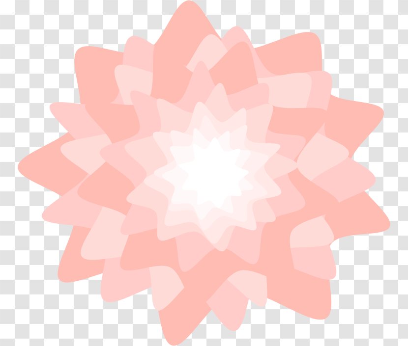 Pink Flowers Petal - Magenta - Flower Transparent PNG