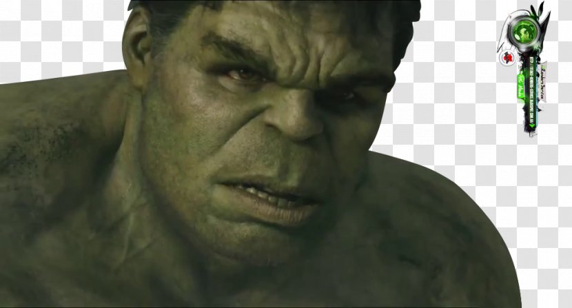 Mark Ruffalo Hulk Iron Man Black Widow Thor Transparent PNG