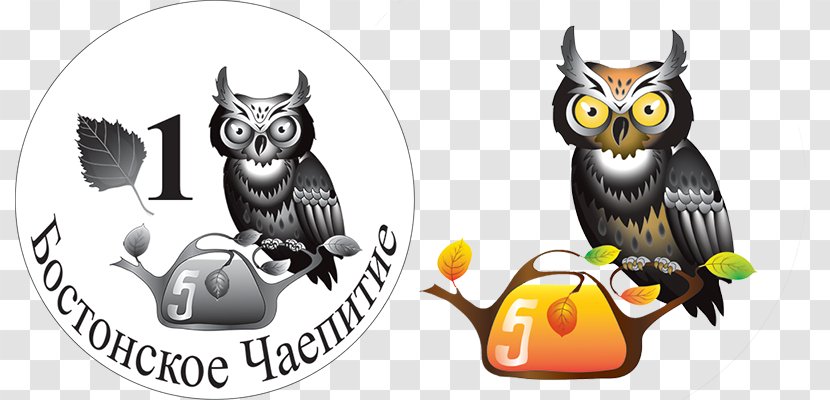 Owl Animated Cartoon Beak - Ivan Tea Transparent PNG