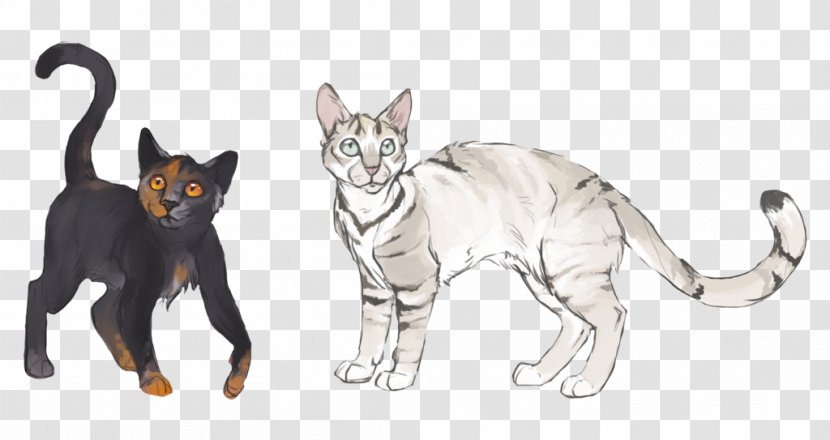 Whiskers Savannah Cat Bengal Mouse Ravenpaw - Warriors Transparent PNG