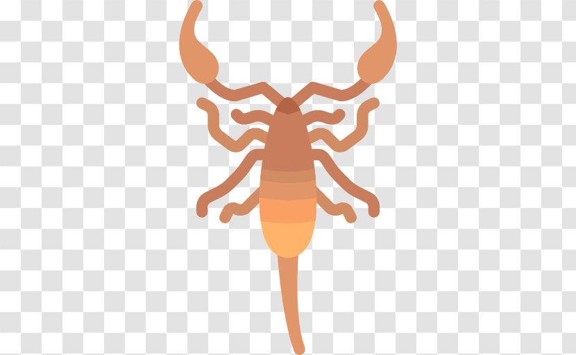Animal Scorpion Wildlife - Scorpio Transparent PNG