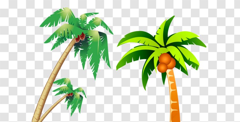 Coconut Tree - Poster - Cartoon Version Of Transparent PNG