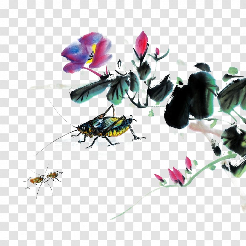 Cross-stitch Chinese Painting Pattern - Moths And Butterflies - Fengshui Morning Glory Grasshopper Transparent PNG