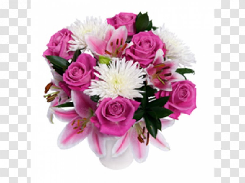 Garden Roses Cabbage Rose Cut Flowers Floral Design - Birthday - Flower Transparent PNG