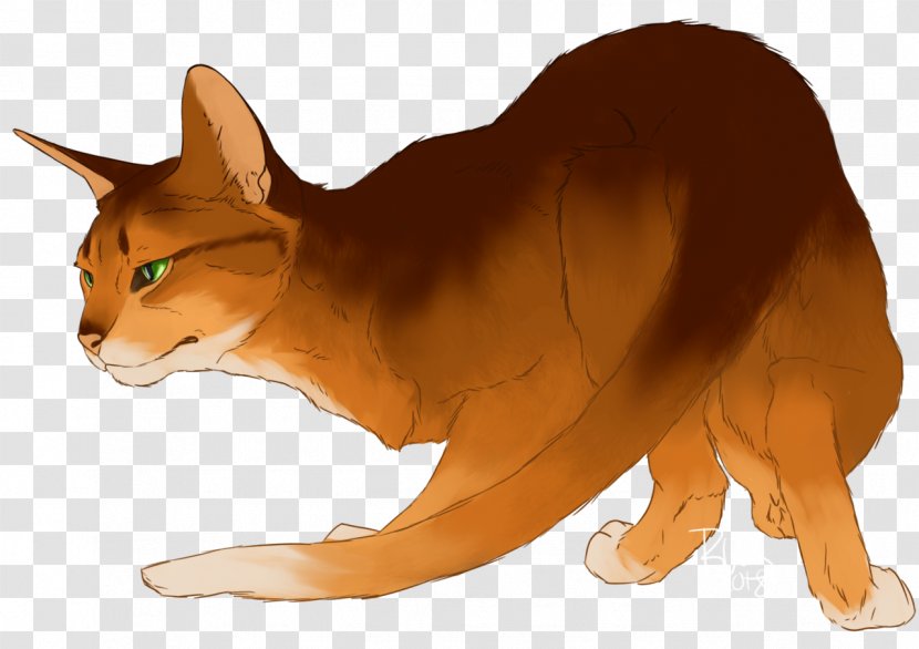 Kitten Whiskers Cat Warriors Red Fox Transparent PNG
