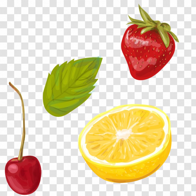 Sangria Cocktail Lemonade Illustration - Natural Foods - Vector Summer Fruit Yin Tao Lemon Strawberry Transparent PNG
