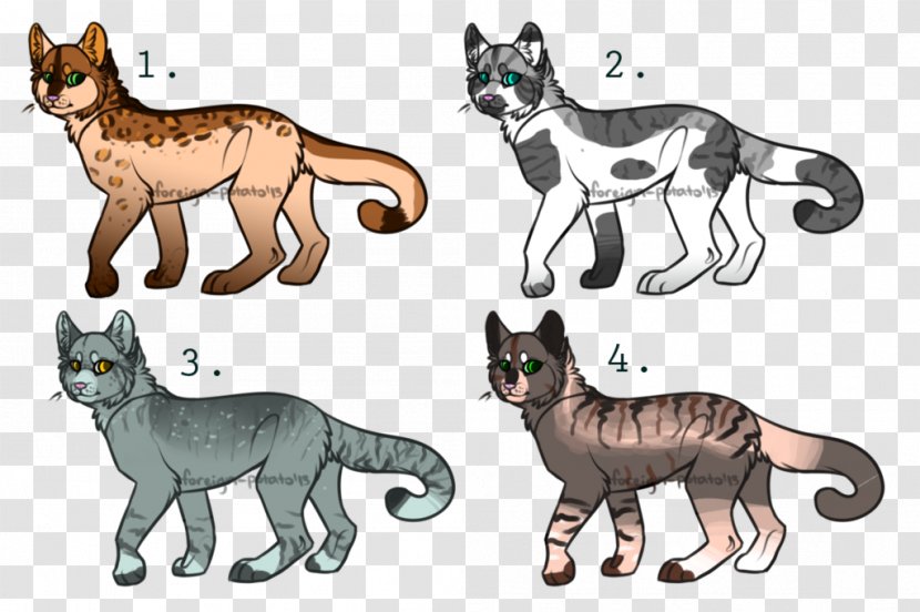 Wildcat Mammal Red Fox Carnivora - Organism - Foreign Cat Transparent PNG